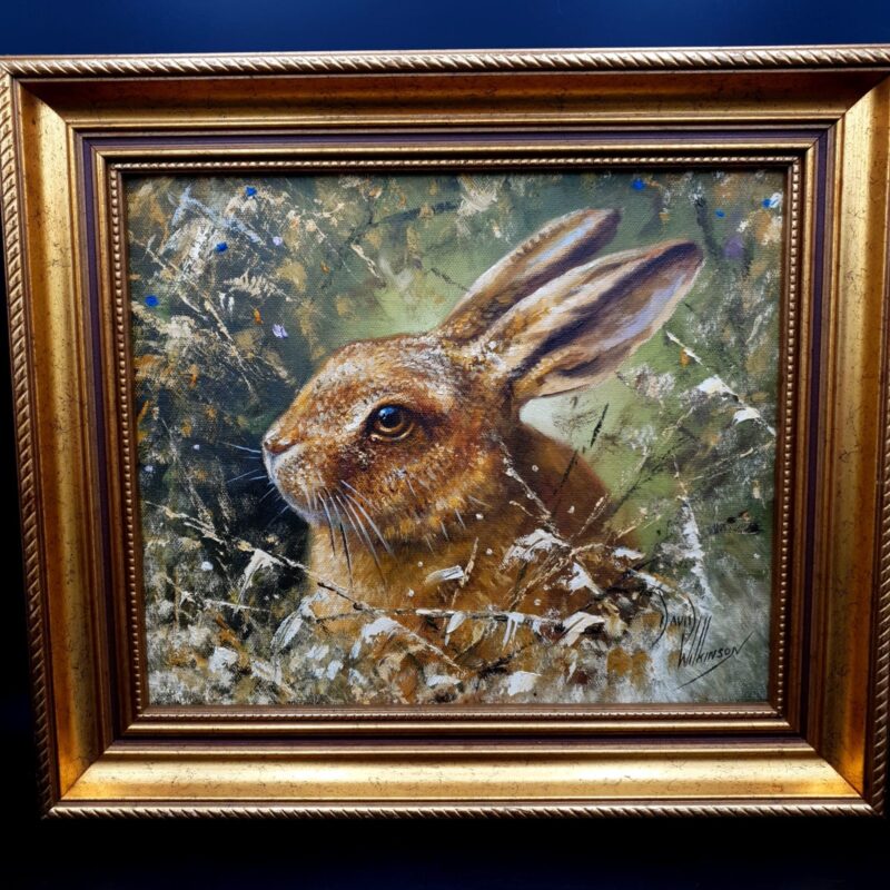 Signed David Wilkinson oil painting of a hare in a natural setting with decorative gilt frame